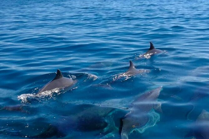 5 island tour all inclusive with Ile aux cerfs and snorkeling - Four Mauritius highlights in one six-hour boat trip
