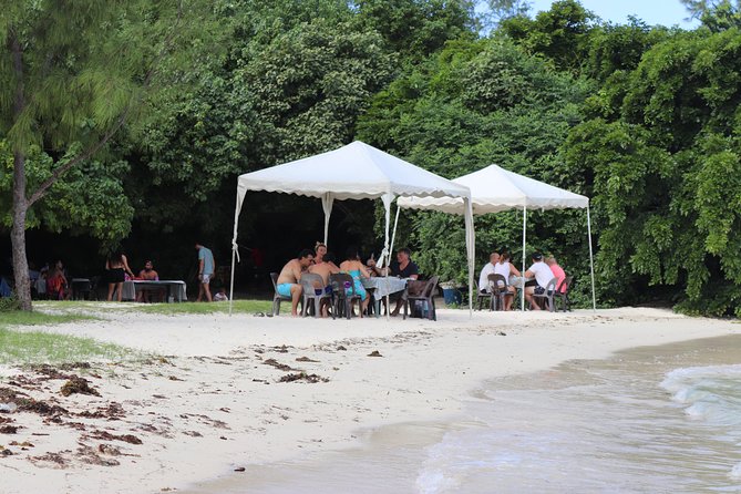 5 island tour all inclusive with Ile aux cerfs and snorkeling - What is included for $103