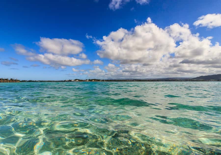 5 Islands Boat Trip, Snorkeling and Lunch on Ile aux Cerfs - Snorkeling at Blue Bay Marine Park