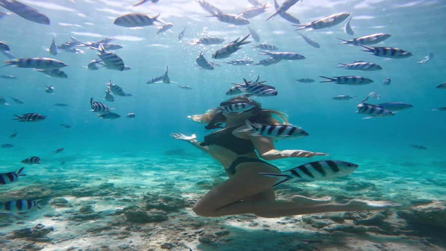 5 Islands Private Speedboat w/ Snorkeling + Lunch & Drinks - What lunch and the open bar really mean