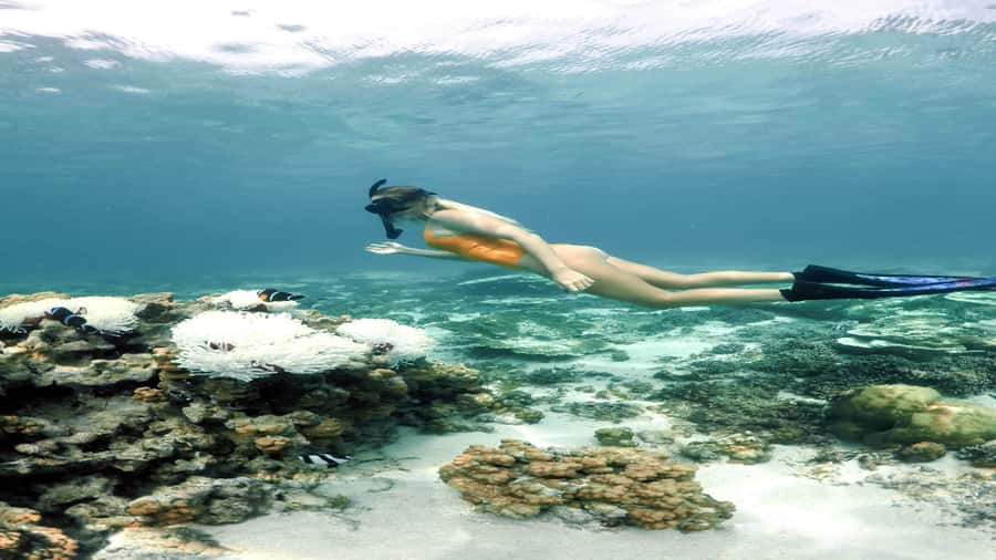 5 Islands Private Speedboat w/ Snorkeling + Lunch & Drinks - Timing matters more than the brochure suggests