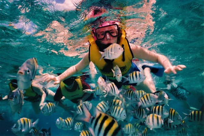 5 Islands Speedboat Cruise incl. Snorkeling in Blue Bay + Lunch at Ile aux Cerfs - Ile aux Fouquets connects scenery with naval history