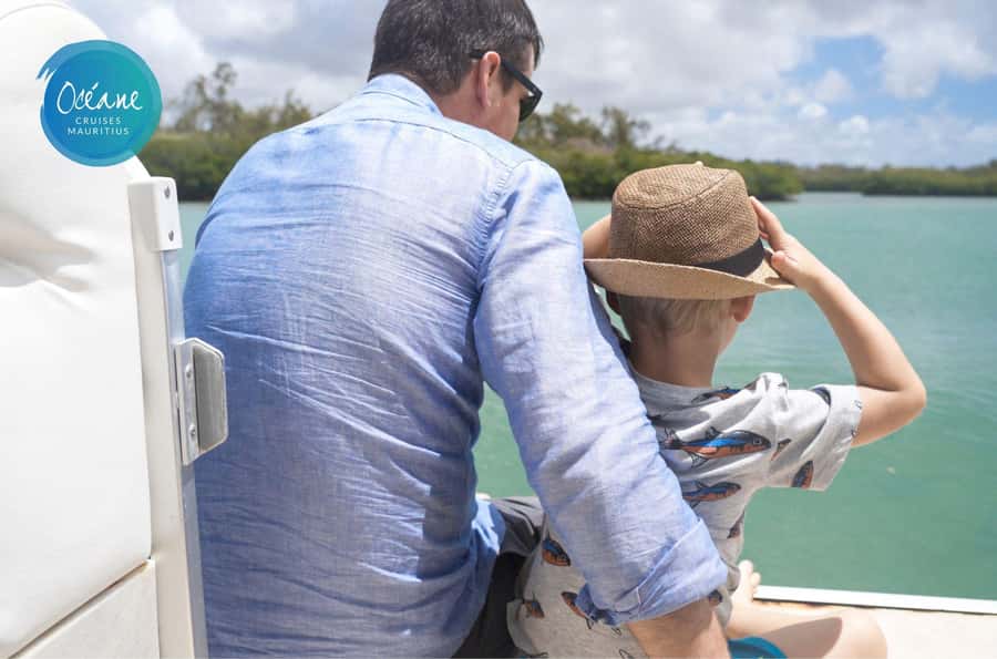 5 Islands Tour: New OCÉANE Private Pontoon Boat cruise - Grand River South East Waterfall comes first
