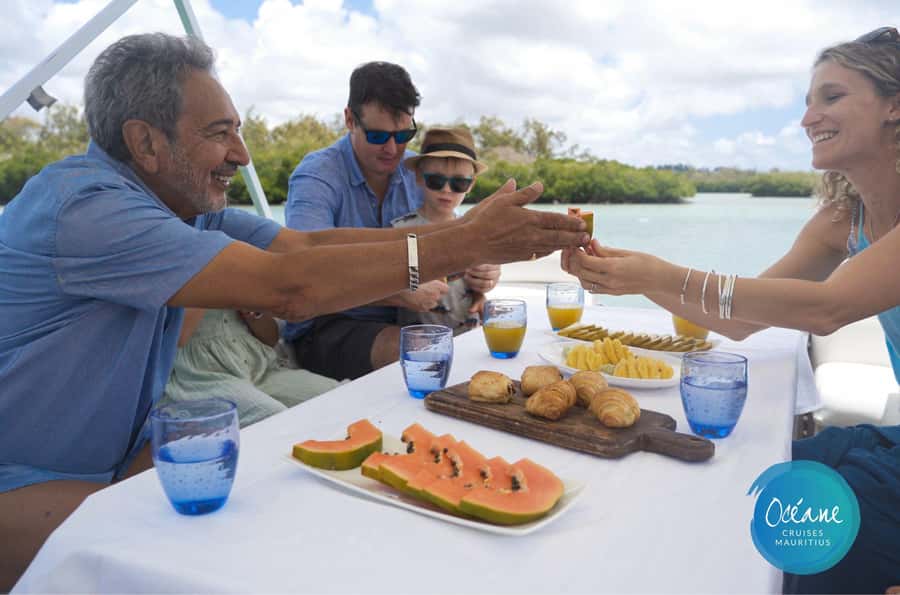 5 Islands Tour: New OCÉANE Private Pontoon Boat cruise - Ile aux Fouquets to Îlot Flamants