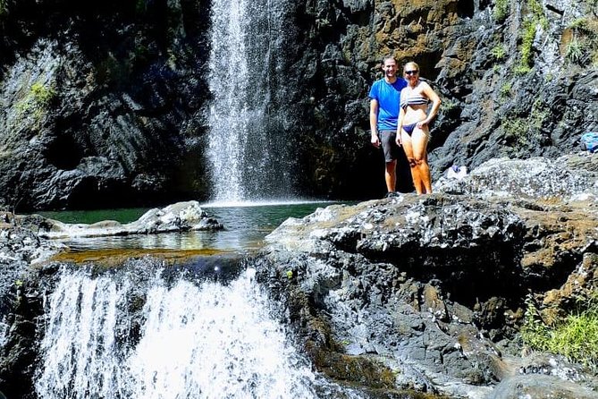 7 Cascades Half Day - Forest, basalt, and the first waterfalls