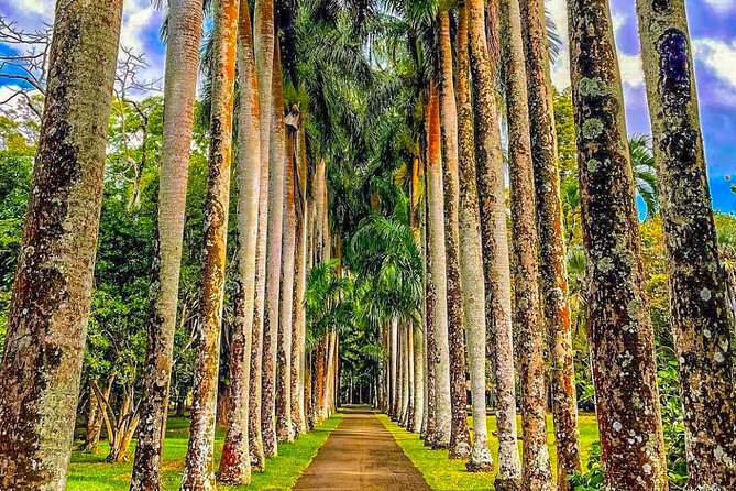8-Hour Private City and North Tour in Mauritius - Grand Baie, beaches, and the final hour