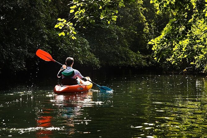 Afternoon Guided Kayak Activity on the Tamarin River - Why the guides matter on a simple route