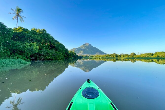 Afternoon Guided Kayak Tour on the Tamarin River - Is $48.85 a fair price?