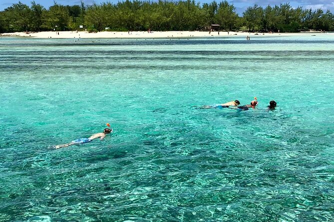 All inclusive CATAMARAN with BBQ : Ile aux cerf & GRSE waterfall - What the mixed experience tells you