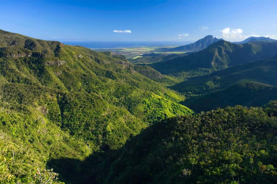 Animal & Nature Parks, Private Tour - Crocodiles And Giant Tortoises At La Vanille