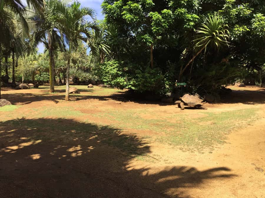 Animal & Nature Parks, Private Tour - Lunch, Drinks, And The Real Value Of $186