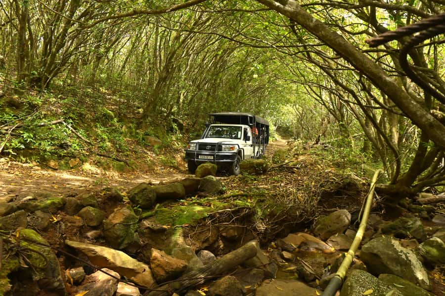 Animal & Nature Parks, Private Tour - Should You Book This Mauritius Tour?