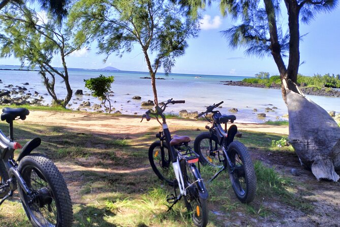 Authentic North East Coast E-bikes Guided Tour - Is $116 a fair price?