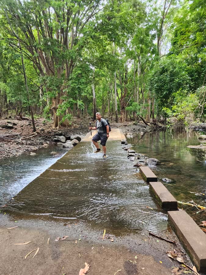 Black River: Guided Hike in the Black River Gorges Valley - What this Black River Gorges hike is really like