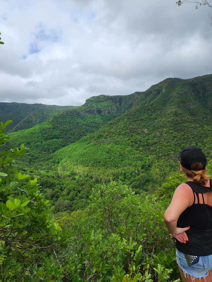 Black River: Guided Hike in the Black River Gorges Valley - The uphill section needs honest preparation
