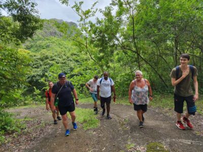 Guided Hike in the Black River Gorges Valley