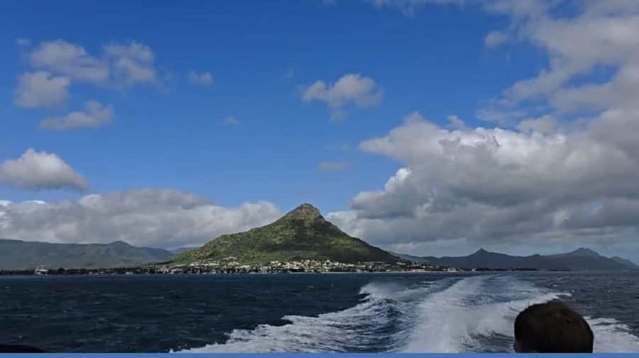 Black River: Swim with Dolphin Speed Boat Tour with lunch - Should you book the dolphin and Crystal Rock trip?