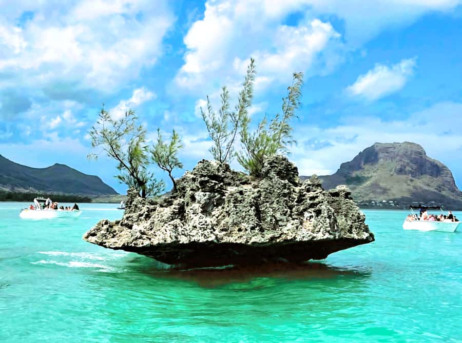 Black River: Swim with Dolphin Speed Boat Tour with lunch - How the $74 price works out