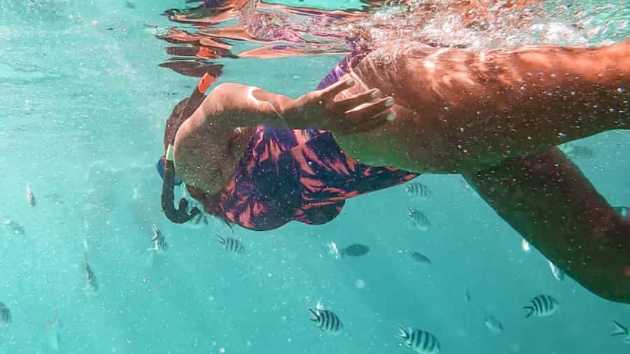 Blue Bay: Blue Bay Glass Bottom Boat Visit and Snorkeling - Key points to know before booking
