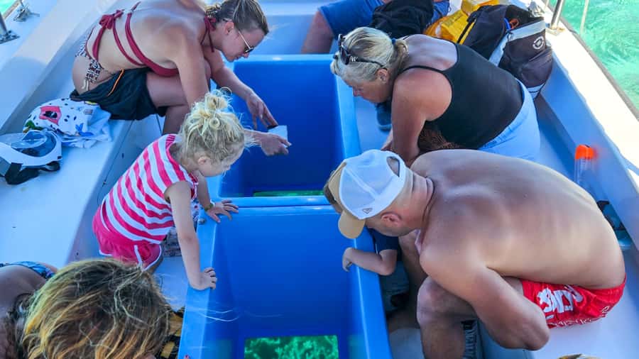 Blue Bay: Blue Bay Glass Bottom Boat Visit and Snorkeling - Who will enjoy this trip most