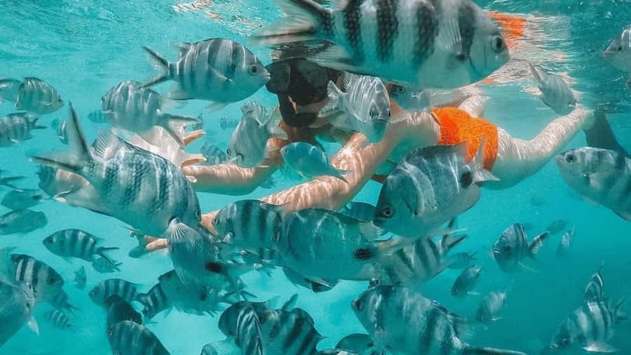 Blue Bay: Blue Bay Glass Bottom Boat Visit and Snorkeling - The 15-minute glass-bottom boat ride