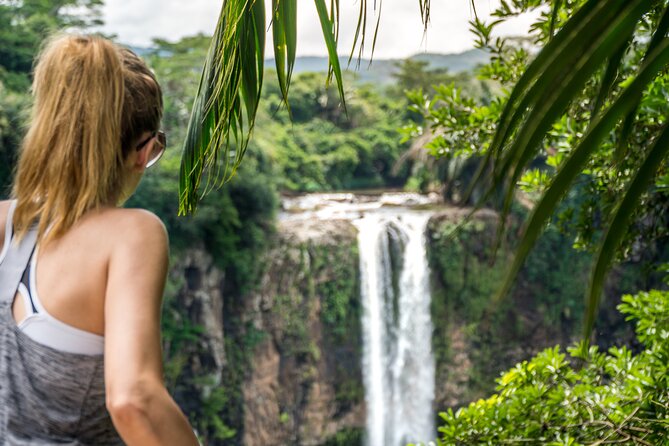 Car Hire for a Day with Driver - 8 Hours - Pamplemousses Botanical Gardens and the northern option