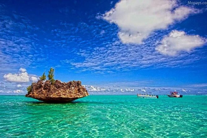 Catamaran Cruise to Ile Aux Bénitiers: Dolphin watch, Crystal Rock & Transfer - The boat may be the biggest question mark