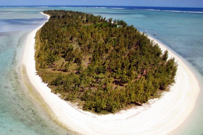 Catamaran Cruise to Ile Aux Bénitiers: Dolphin watch, Crystal Rock & Transfer - How the price compares with the experience