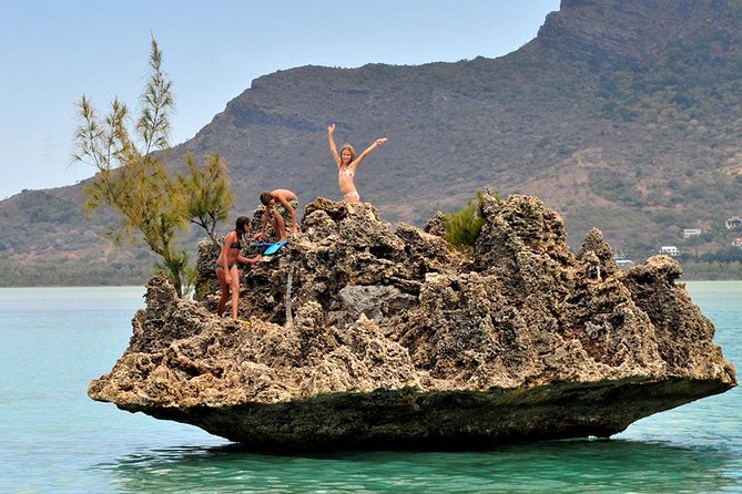 Catamaran Cruise to Ile Aux Bénitiers: Dolphin watch, Crystal Rock & Transfer - Who should book this day on the water