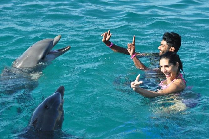 Catamaran Cruise to Ile Aux Bénitiers: Dolphin watch, Crystal Rock & Transfer - Should you book the Ile aux Bénitiers cruise?