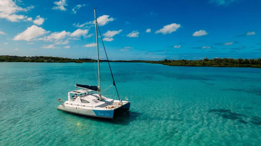 Catamaran Cruise to île aux Cerfs w Dolphins watch & Lunch - Looking for dolphins in their natural habitat