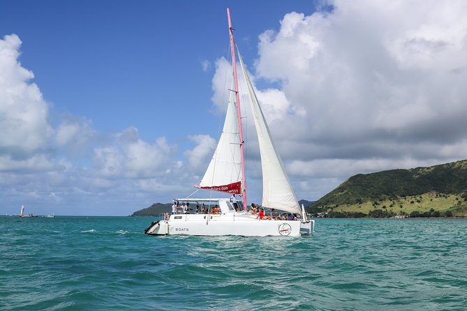 Catamaran cruise to Ile aux cerfs with bbq lunch - Key points to know before booking