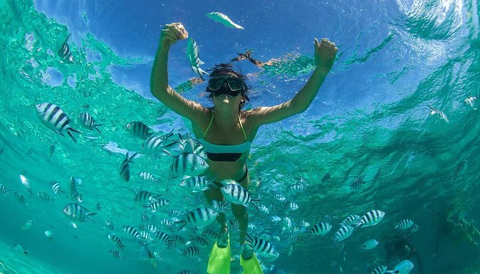 Catamaran Experience to Ile aux cerf: incl: Parasailing, Lunch, GRSE & Transfer - Grand River South East, monkeys, and a short waterfall stop