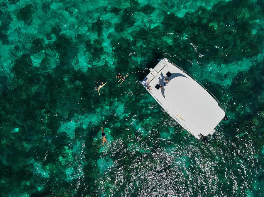Catamaran Mauritius: South East 5 Islands Catamaran Cruises - Dolphin and sea turtle watching