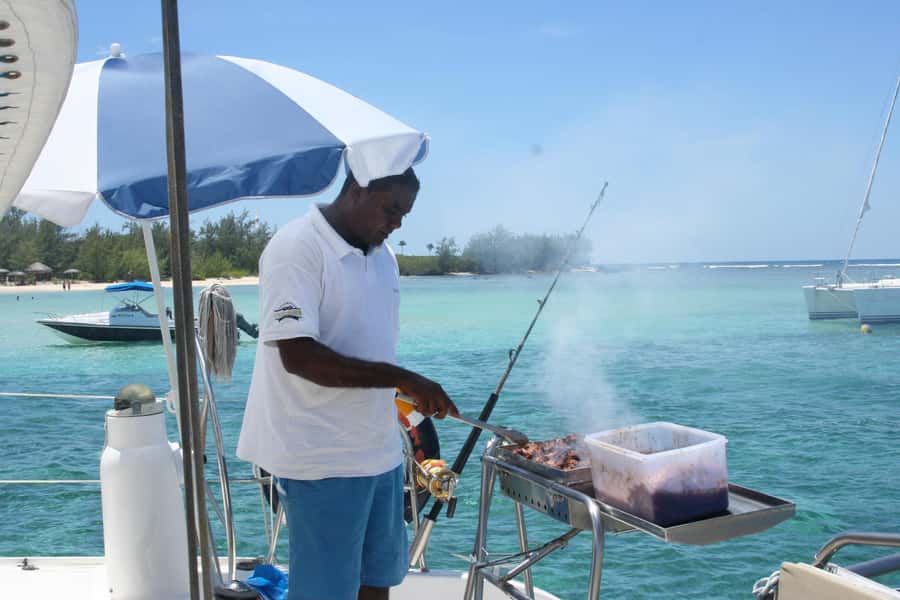 Catamaran Trip to Ile au Cerfs with Lunch and GRSE waterfall - Who should book this east coast excursion?