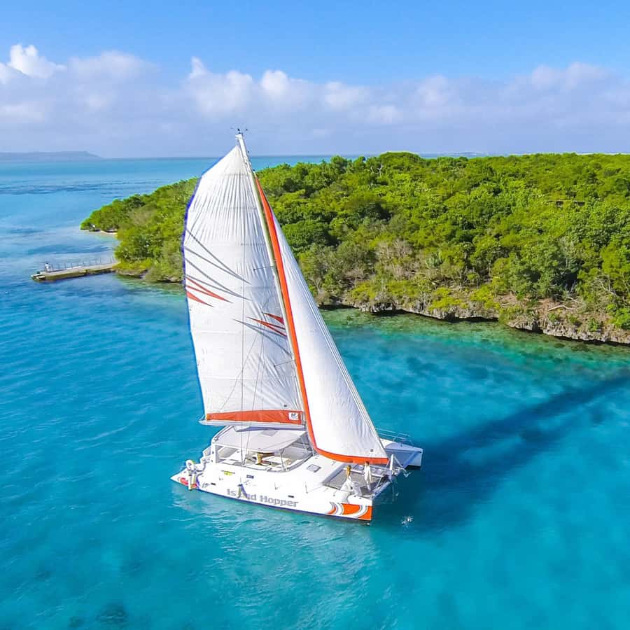 Catamaran trip to Ile Aux Cerfs With Two Way Transportation - Breakfast, barbecue lunch, and drinks