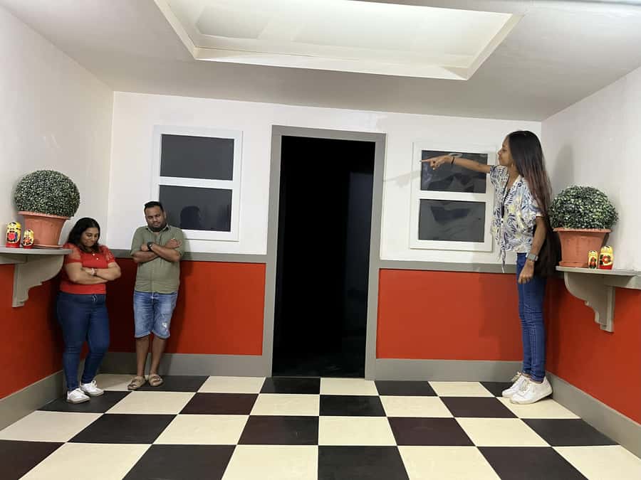 Chamarel: Curious Mauritius Entry Ticket - The Mirror Maze and its infinite reflections