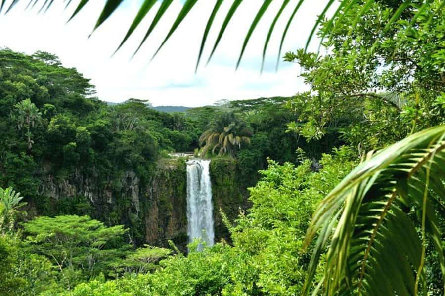 Chamarel: Southwest Mauritius Private Guided Day Tour - Trou aux Cerfs and the First Island View