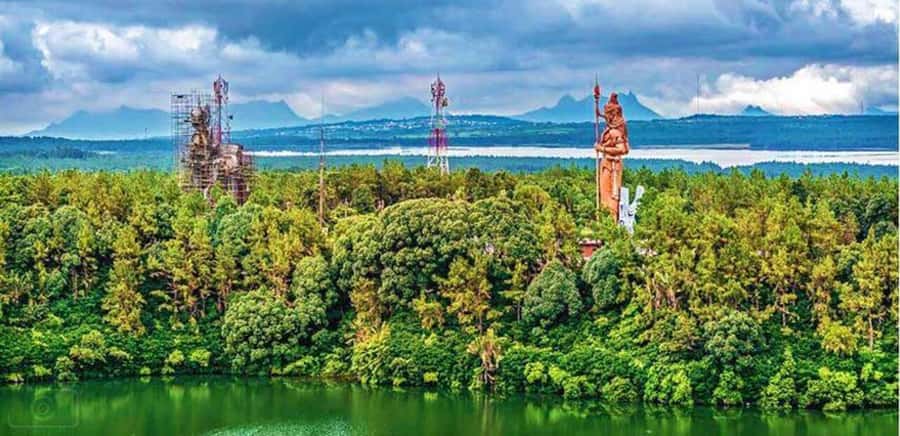 Chamarel: Southwest Mauritius Private Guided Day Tour - Tea Fields and Mauritius at Work