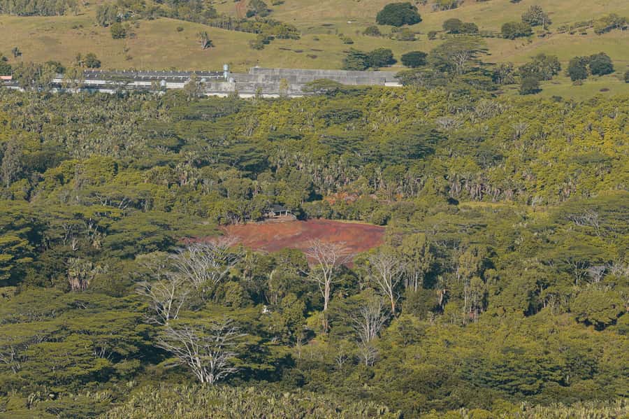 Chamarel: Sunset Mountain Hike - Key points to know before you book