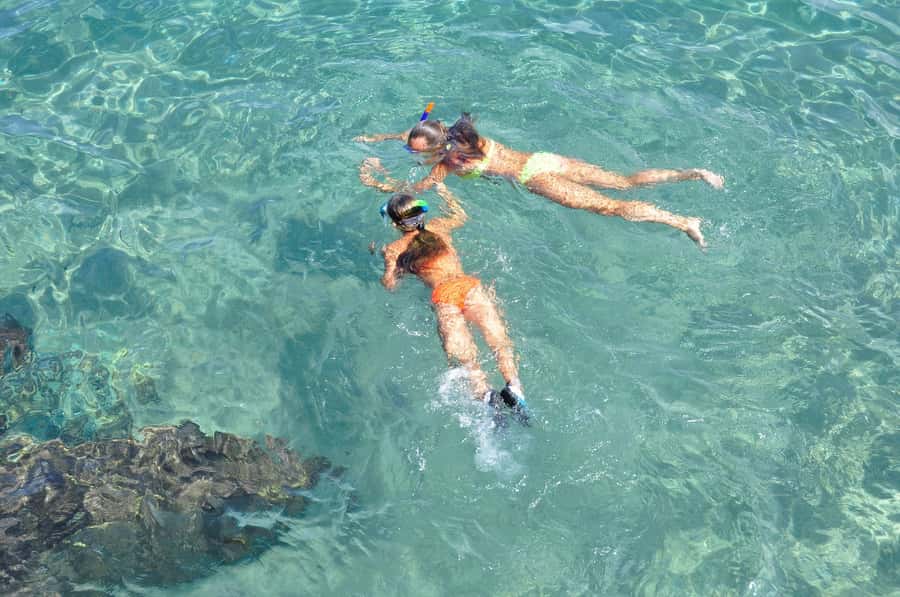 Coin de Mire 2-Hour Private Snorkeling Trip - Why Coin de Mire is the focus