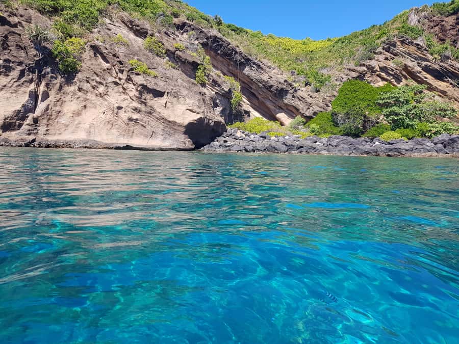 Coin de Mire 2-Hour Private Snorkeling Trip - Timing, comfort, and practical concerns