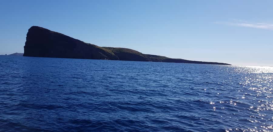 Coin de Mire 2-Hour Private Snorkeling Trip - Who will enjoy this outing most