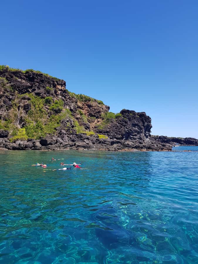 Coin de Mire 2-Hour Private Snorkeling Trip - Should you book Coin de Mire?