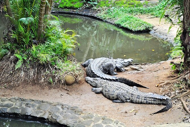 Crocodile Nature Park - More than crocodiles and tortoises