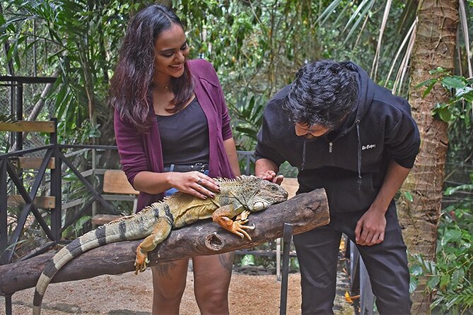 Crocodile Nature Park - Should you book the Crocodile Nature Park tour?