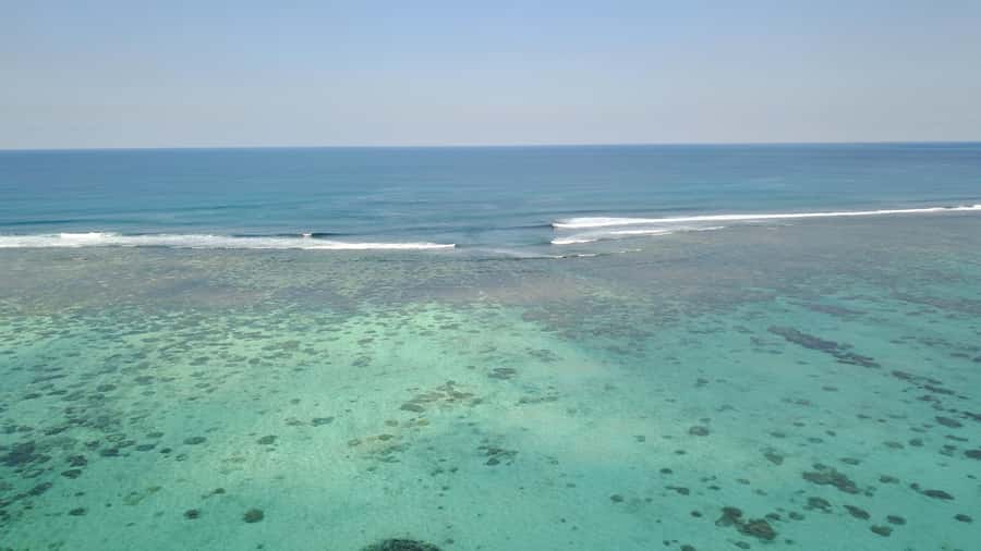 Day Trip at Ile aux Cerfs and other Gems of the South. - Key points to know before you book