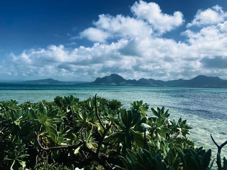 Day Trip at Ile aux Cerfs and other Gems of the South. - Why this boat day works better than a simple island transfer