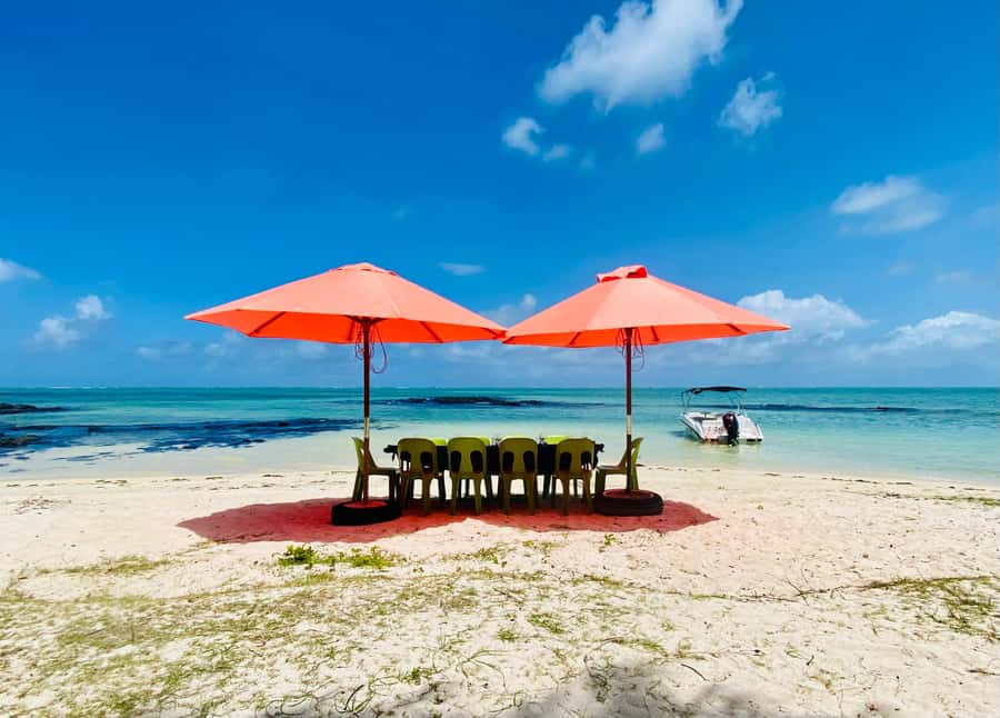 Day Trip at Ile aux Cerfs and other Gems of the South. - Who should book this Mauritius boat trip?