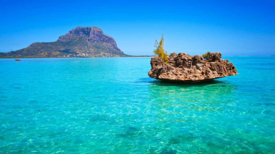 Discover Mauritius: Dolphin Watch, Snorkeling, BBQ Lunch - Black River is the launch point for the sea day